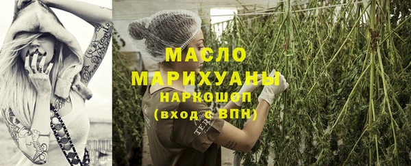 МДПВ Протвино
