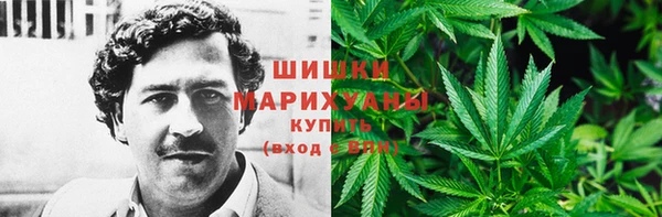 МДПВ Протвино