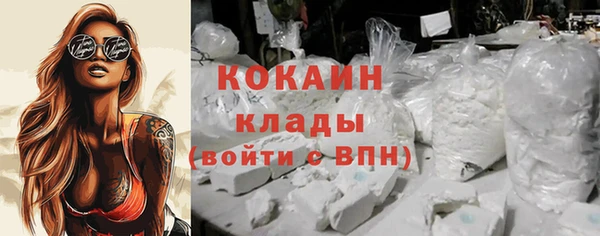 МДПВ Протвино