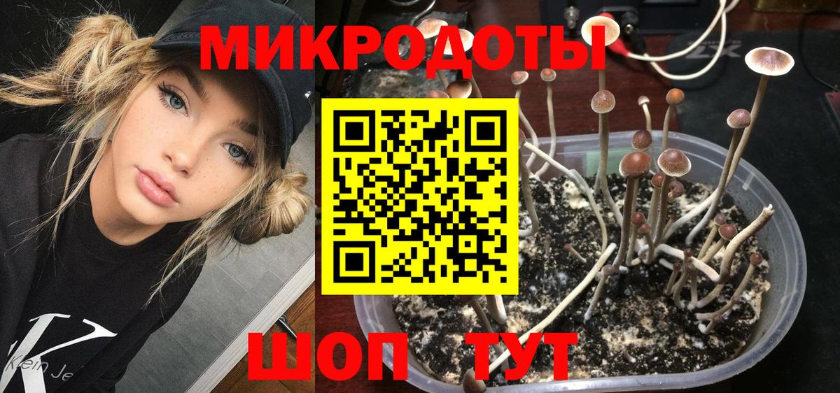 Псилоцибиновые грибы мицелий  Вход с VPN  Кыштым 